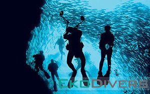 Experience world-class diving in Sipadan with Eko Divers! Join now to dive the wall in Sipadan, and experience for yourself the tornado of barracuda. Sea turtles and white tip reef sharks are an almost-guarantee, and get a chance to dive with hammerhead and leopard sharks if you're lucky!