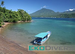 Dive Lembeh and experience the wonderful macro marine life of Indonesia. Seize the chance to see plenty of frogfish, the rare hairy octopus and a mass congregation of sea hares amongst many other sea critters.