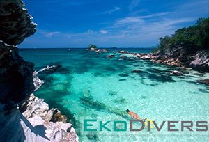 Dive Similan! Labeled one of the top ten dive destination in the world by National Geographic, Similan Islands is well known for attracting manta rays, whale sharks and loads of turtles!