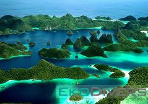Dive at Raja Ampat with Eko Divers as this majestic place casts a spell on all who visit – scientists, photographers, novice divers and crusty sea-salts alike. This group of majestic islands, located in the northwestern tip of Indonesia’s Papuan “Bird’s Head Seascape,” lies in the heart of the coral triangle, the most bio-diverse marine region on earth.