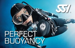 7 Specialty Courses to Level Up Your Diving Skills