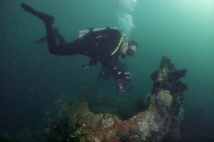 Why night diving is the new cool