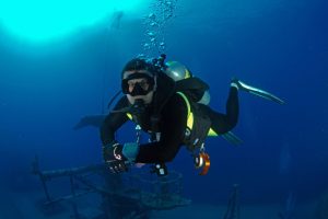 3 (Life-Saving) Diving Gears to Get this New Year