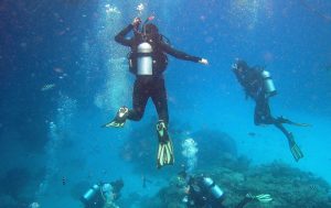 3 Reasons Why You Should Start Scuba Diving